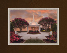 Load image into Gallery viewer, Raleigh Splendor
