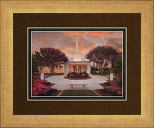 Load image into Gallery viewer, Raleigh Splendor

