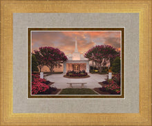 Load image into Gallery viewer, Raleigh Splendor
