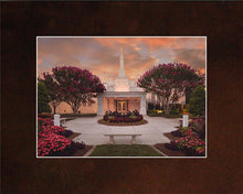 Load image into Gallery viewer, Raleigh Splendor
