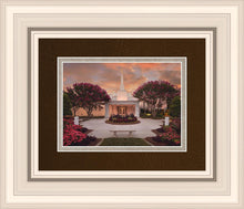 Load image into Gallery viewer, Raleigh Splendor
