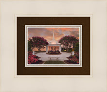 Load image into Gallery viewer, Raleigh Splendor
