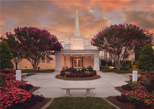 Load image into Gallery viewer, Raleigh Splendor
