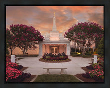 Load image into Gallery viewer, Raleigh Splendor
