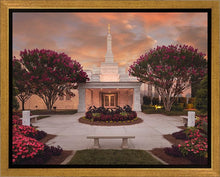 Load image into Gallery viewer, Raleigh Splendor
