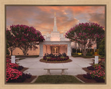 Load image into Gallery viewer, Raleigh Splendor
