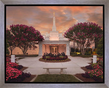 Load image into Gallery viewer, Raleigh Splendor
