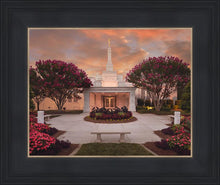Load image into Gallery viewer, Raleigh Splendor

