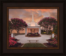 Load image into Gallery viewer, Raleigh Splendor
