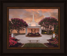 Load image into Gallery viewer, Raleigh Splendor

