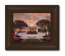 Load image into Gallery viewer, Raleigh Splendor
