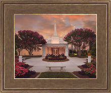 Load image into Gallery viewer, Raleigh Splendor
