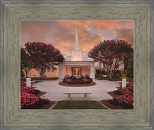 Load image into Gallery viewer, Raleigh Splendor
