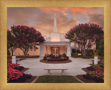 Load image into Gallery viewer, Raleigh Splendor
