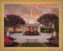 Load image into Gallery viewer, Raleigh Splendor
