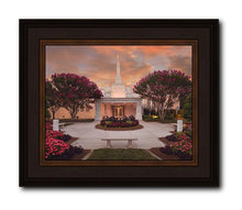 Load image into Gallery viewer, Raleigh Splendor
