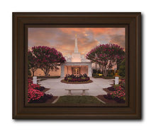 Load image into Gallery viewer, Raleigh Splendor
