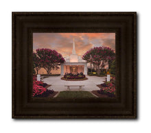 Load image into Gallery viewer, Raleigh Splendor
