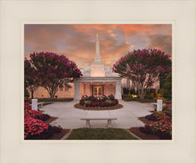 Load image into Gallery viewer, Raleigh Splendor
