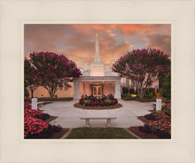Load image into Gallery viewer, Raleigh Splendor
