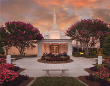 Load image into Gallery viewer, Raleigh Splendor

