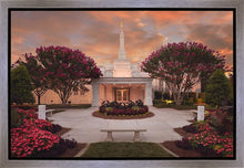 Load image into Gallery viewer, Raleigh Splendor

