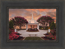 Load image into Gallery viewer, Raleigh Splendor
