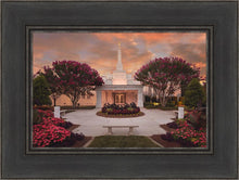 Load image into Gallery viewer, Raleigh Splendor
