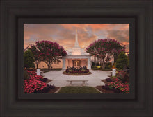 Load image into Gallery viewer, Raleigh Splendor
