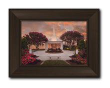 Load image into Gallery viewer, Raleigh Splendor
