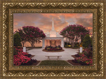 Load image into Gallery viewer, Raleigh Splendor
