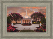Load image into Gallery viewer, Raleigh Splendor
