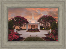 Load image into Gallery viewer, Raleigh Splendor
