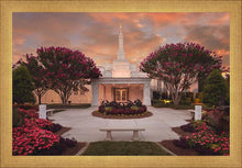 Load image into Gallery viewer, Raleigh Splendor
