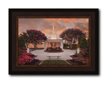 Load image into Gallery viewer, Raleigh Splendor
