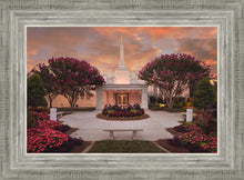 Load image into Gallery viewer, Raleigh Splendor
