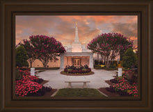Load image into Gallery viewer, Raleigh Splendor
