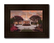 Load image into Gallery viewer, Raleigh Splendor
