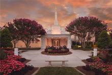 Load image into Gallery viewer, Raleigh Splendor
