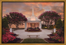 Load image into Gallery viewer, Raleigh Splendor
