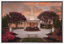 Load image into Gallery viewer, Raleigh Splendor
