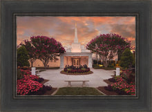 Load image into Gallery viewer, Raleigh Splendor
