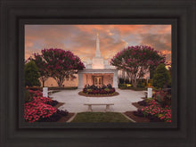 Load image into Gallery viewer, Raleigh Splendor
