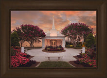 Load image into Gallery viewer, Raleigh Splendor
