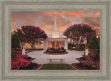 Load image into Gallery viewer, Raleigh Splendor
