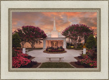 Load image into Gallery viewer, Raleigh Splendor

