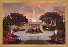 Load image into Gallery viewer, Raleigh Splendor
