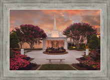 Load image into Gallery viewer, Raleigh Splendor
