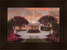 Load image into Gallery viewer, Raleigh Splendor
