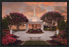 Load image into Gallery viewer, Raleigh Splendor

